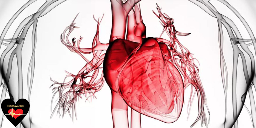 معرفی انواع بیماری های قلبی